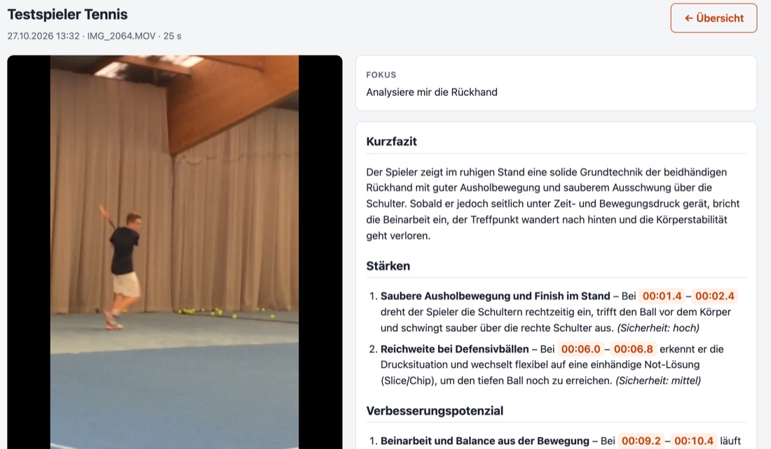 Screenshot eines Analyse-Ergebnisses: Kurzfazit und Stärken mit Zeitstempeln